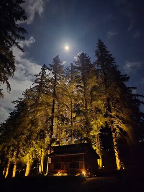 Eine Hütte, umgeben von hohen Bäumen, mit einem sichtbaren Mond am Himmel.