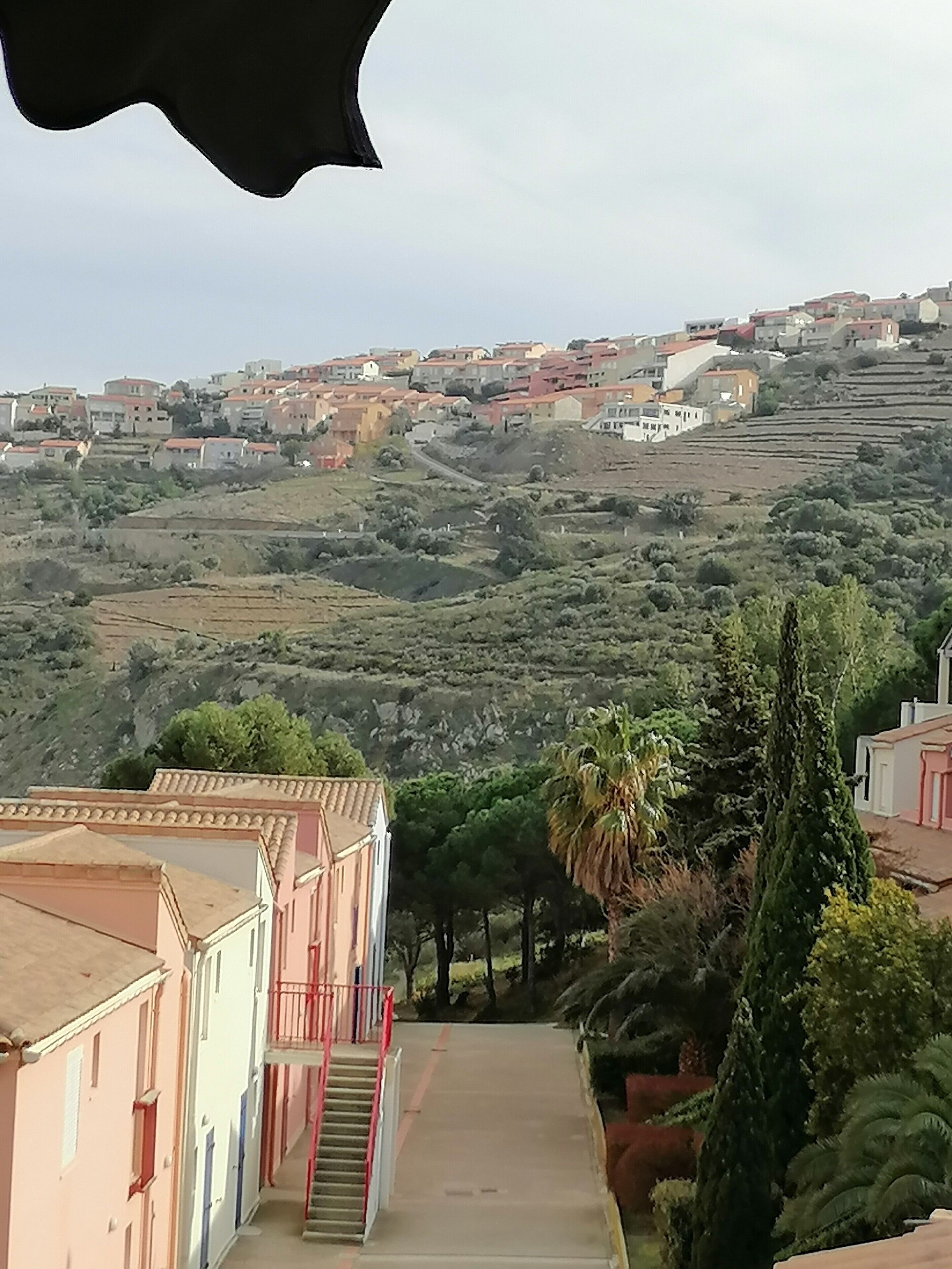 A hillside residential area with terraced houses, a staircase leading up, and a palm tree.