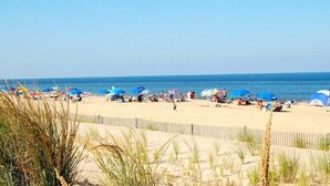Una spiaggia con persone, ombrelloni e tende.
