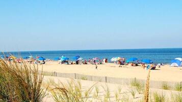 A beach with people, umbrellas, and tents.