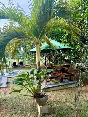 Un espace piscine avec des chaises longues, un palmier et un parasol vert.