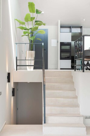 Eine moderne Treppe mit Glastrennwand, einem Blumentopf und einer Küche im Hintergrund.