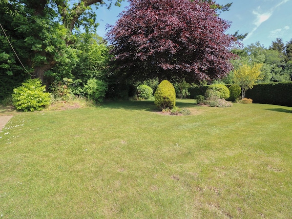 A well-maintained lawn with a variety of trees and shrubs.