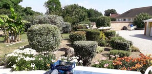 Een verzorgde tuin met diverse planten en een grindpad.