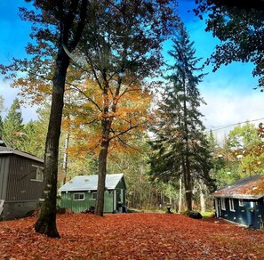 A cabin surrounded by trees with autumn leaves, a small shed, and a wooden building with a metal roof.