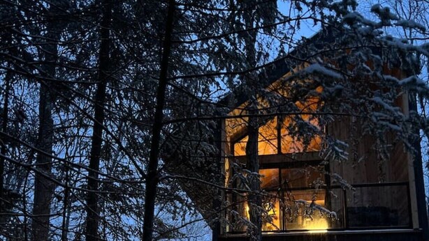 Une cabane en bois avec un escalier menant à un deuxième étage, entourée d’arbres couverts de neige.