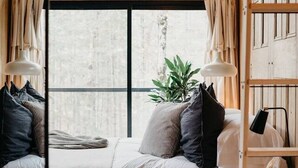 Une chambre confortable avec une grande fenêtre, un lit, une table de chevet et une plante.