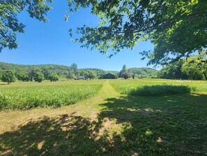 Een landelijk landschap met een onverharde pad dat naar een gebouw leidt, omringd door velden en bomen.