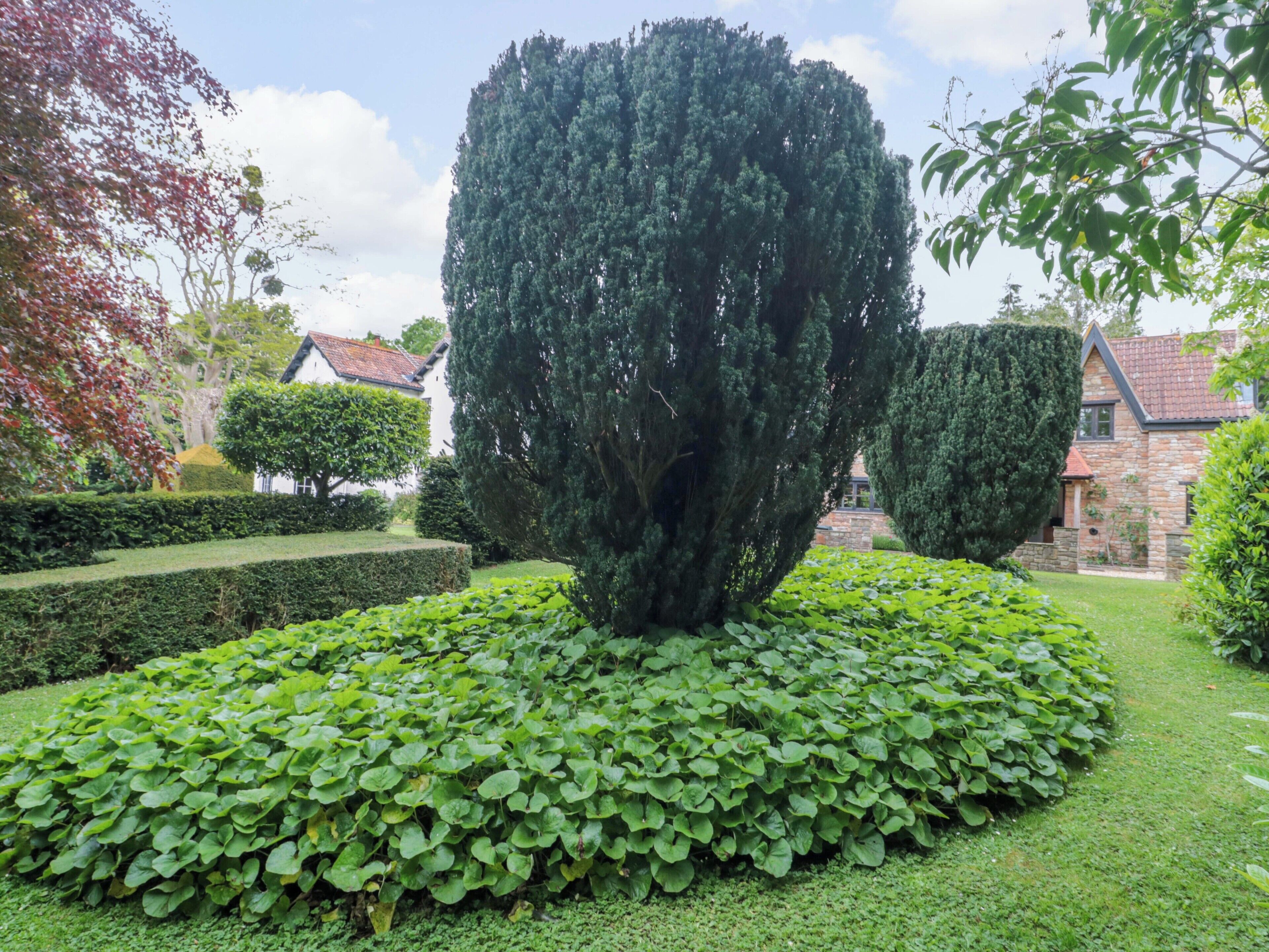 A well-maintained garden with a tall, dense tree, neatly trimmed hedges, and a stone building in the background.