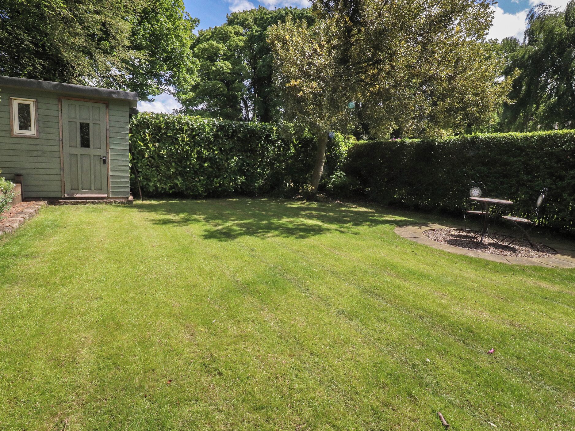 A grassy backyard with a small shed, a hedge, and a tree.