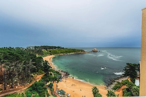 A coastal beach with clear waters, a rocky outcrop, and a forested area. - Algarrobo Cabin Hot Tub Included El Canelo Beach (Algarrobo)