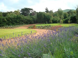 A landscaped garden with a pathway, a bench, and various plants including lavender. - Relax nel Verde 1 - One Bedroom Apartment, Sleeps 2 (Calafuria)