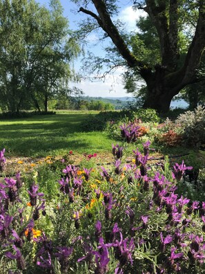 A garden with various flowers and trees. - Atypical gite in Dordogne-Périgord, quiet, with swimming pool and beautiful view (Manzac-sur-Vern)