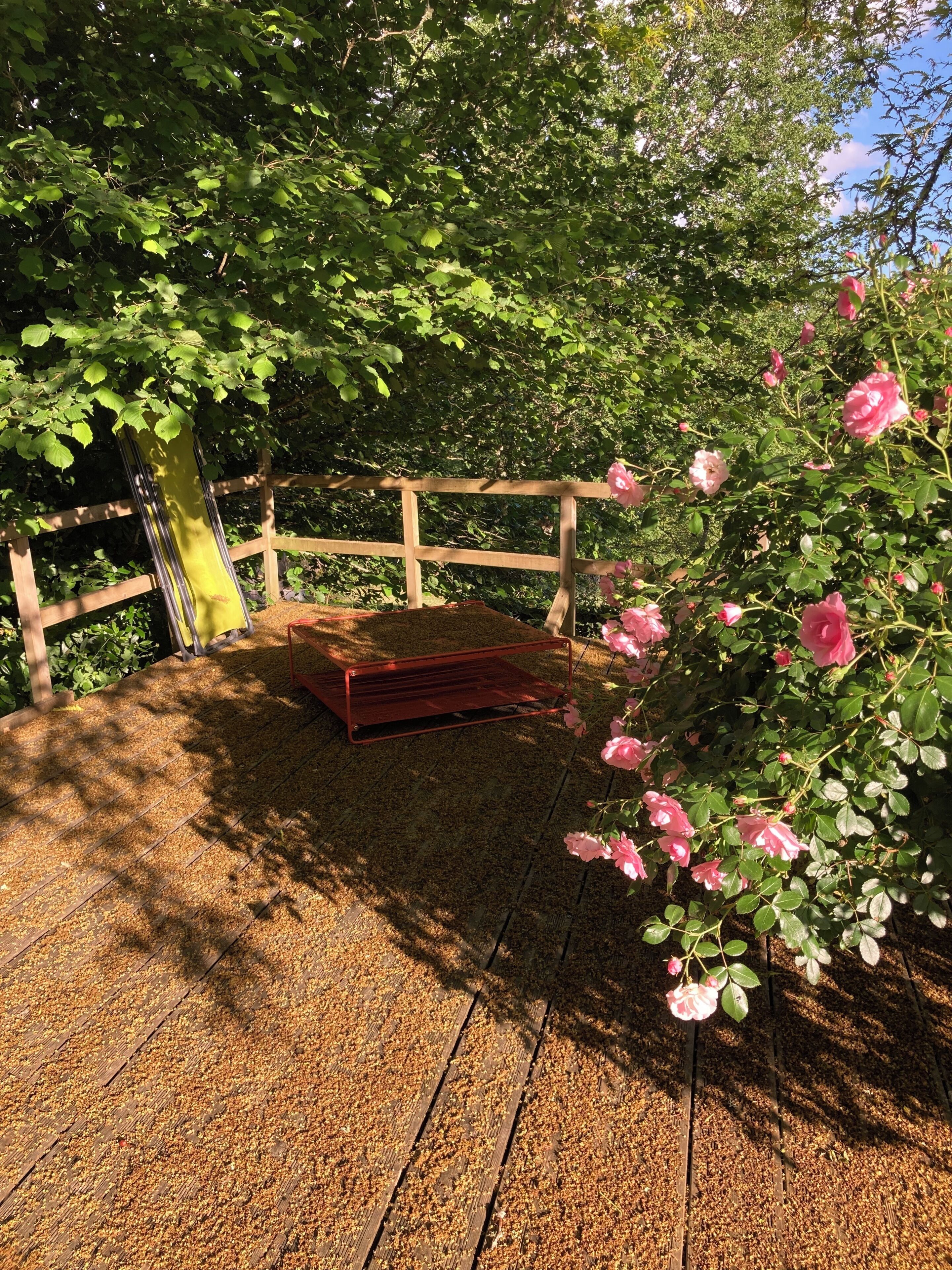 Una terraza de madera con un banco de metal, rodeada de abundante follaje verde y flores rosadas.