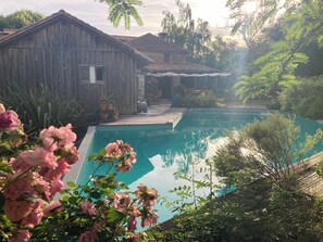 Una casa de madera con piscina rodeada de vegetación.