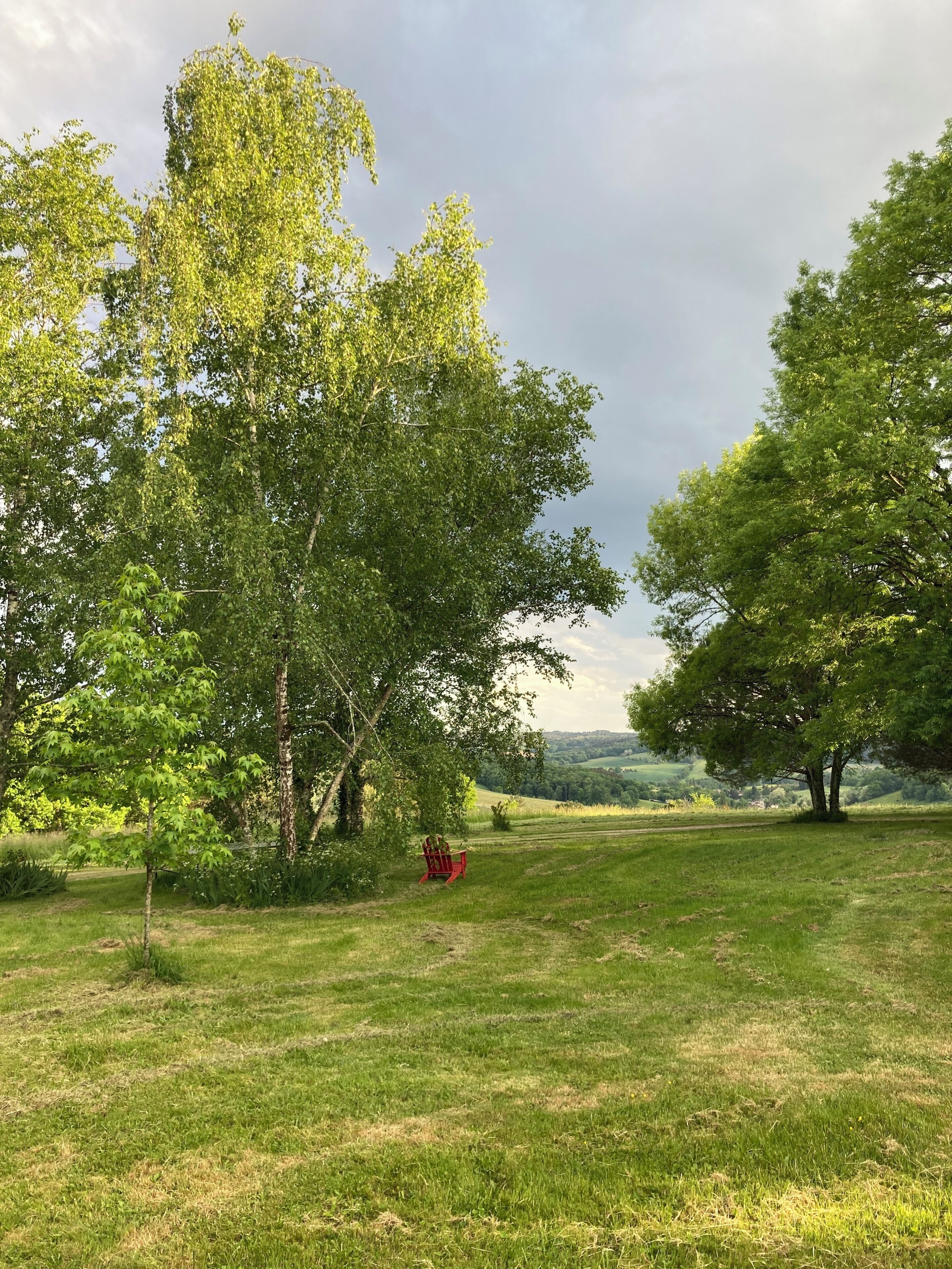 A grassy field with trees and a red chair.
