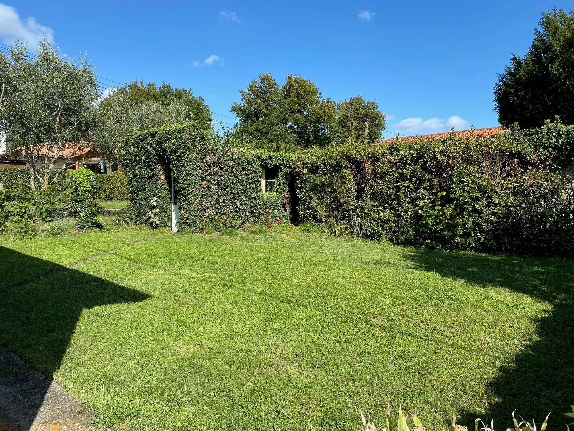 Um gramado bem cuidado com um hedge e um edifício com telhado vermelho ao fundo.