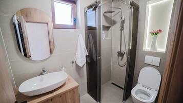 Hair dryer, towels, soap, toilet paper