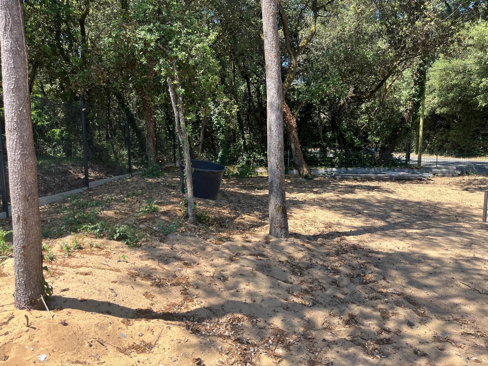 Un espace extérieur sablonneux, agrémenté d’arbres et muni d’une poubelle noire.