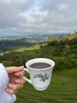 A hand holding a white mug with floral designs, filled with a dark liquid, against a backdrop of a green landscape and cloudy sky.