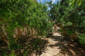 A narrow stone pathway flanked by dense green foliage, leading to a building entrance.