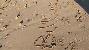 A sandy beach with footprints and a snake-like pattern. - Superb house 85m² - Beaches 2km away - Enclosed garden (Billiers)