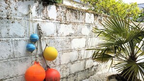 A concrete wall with colorful buoys and a palm plant. - House 80m² center ville - Beach 250m, private courtyard (Damgan)