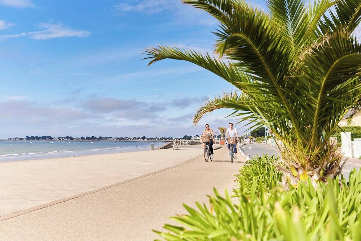 Een boulevard aan het strand met uitzicht op de zee en een pad voor voetgangers en fietsers.