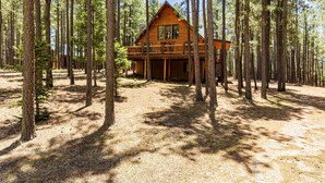 Une cabane entourée de grands pins dans une forêt.