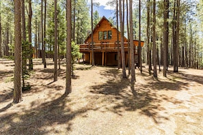 Exterior - Alces Lodge - Authentic Log Cabin, Deck, Game Room (Angel Fire)