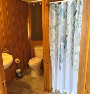 Shower, soap, toilet paper