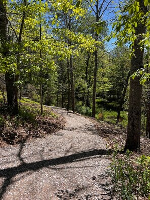 A gravel path in a forested area with trees and a clear sky.