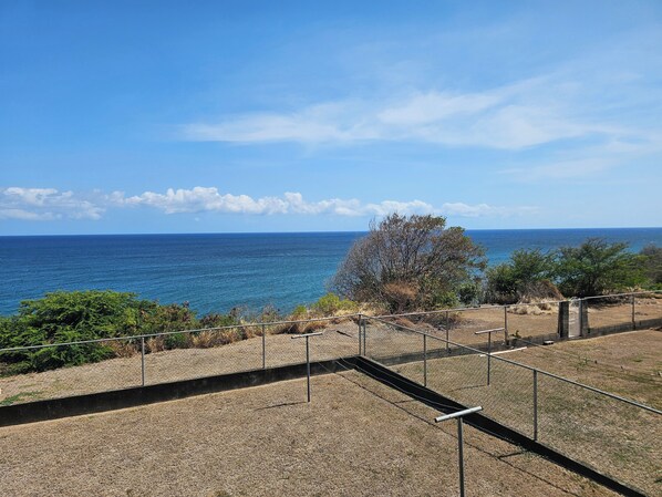 Vista costera con cielo despejado, zona cercada y un árbol.