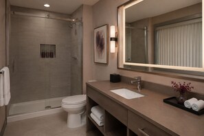 A modern bathroom with a walk-in shower, a toilet, a sink, and a large mirror. - The Ravona Suites (Toronto)