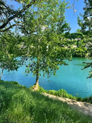 Ein von Bäumen gesäumter Weg am Seeufer mit freiem Blick auf das Wasser.