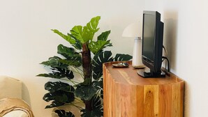 A wooden console table with a television and lamp, a potted plant, and a checkered sofa in a room with wooden flooring. - Apartment San francisco Oviedo (Oviedo)