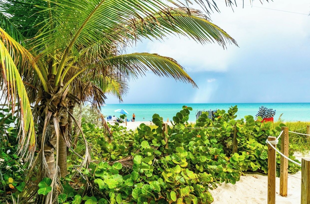 Sun-loungers, beach towels