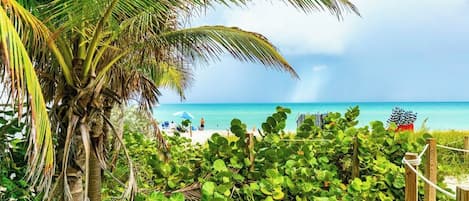 Sun loungers, beach towels