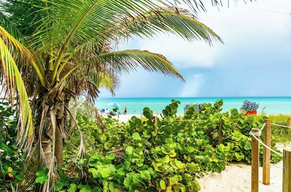 Ein Strand mit einer Palme, Liegestühlen und einem Holzzaun.