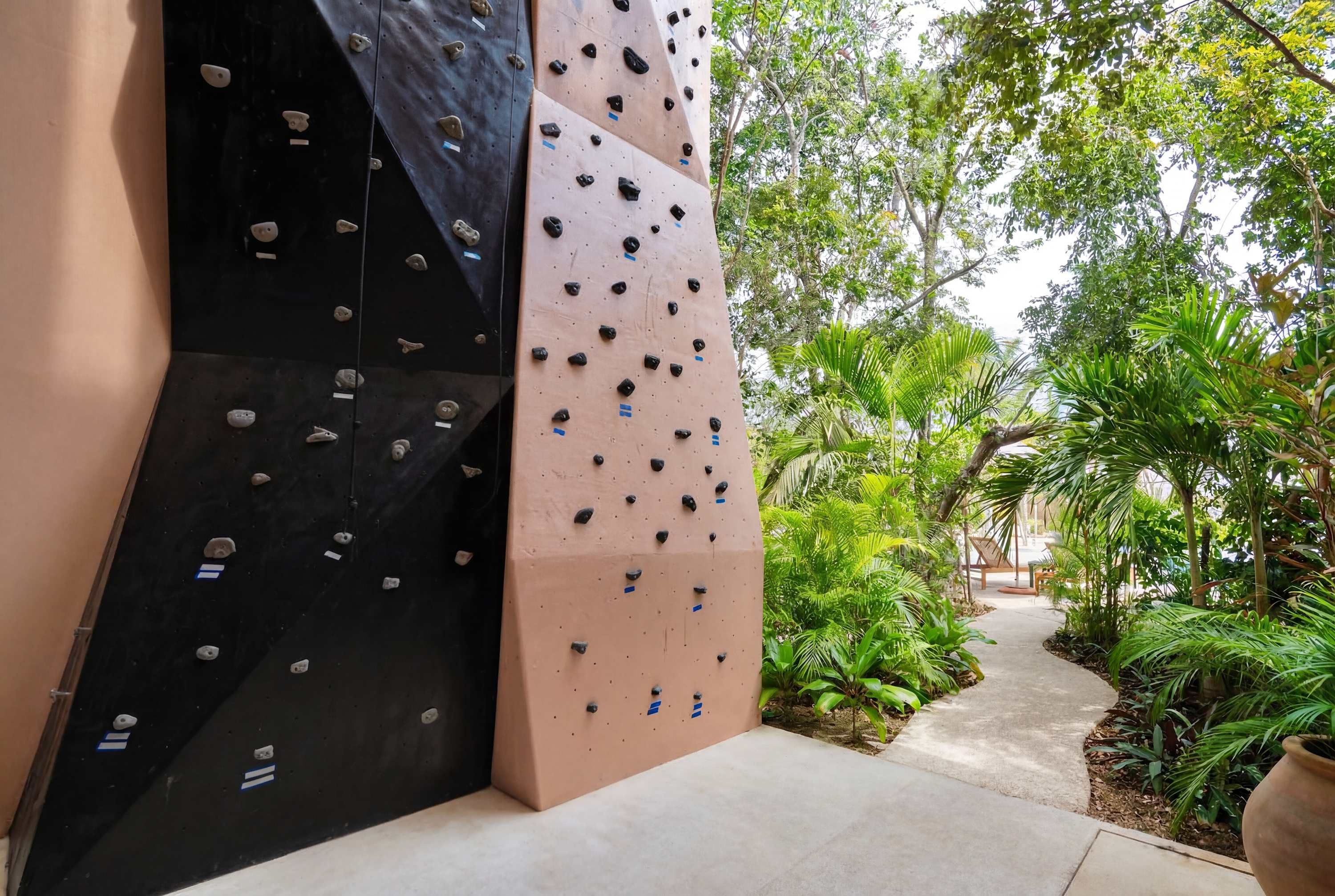 Paredão de escalada indoor com várias rotas.