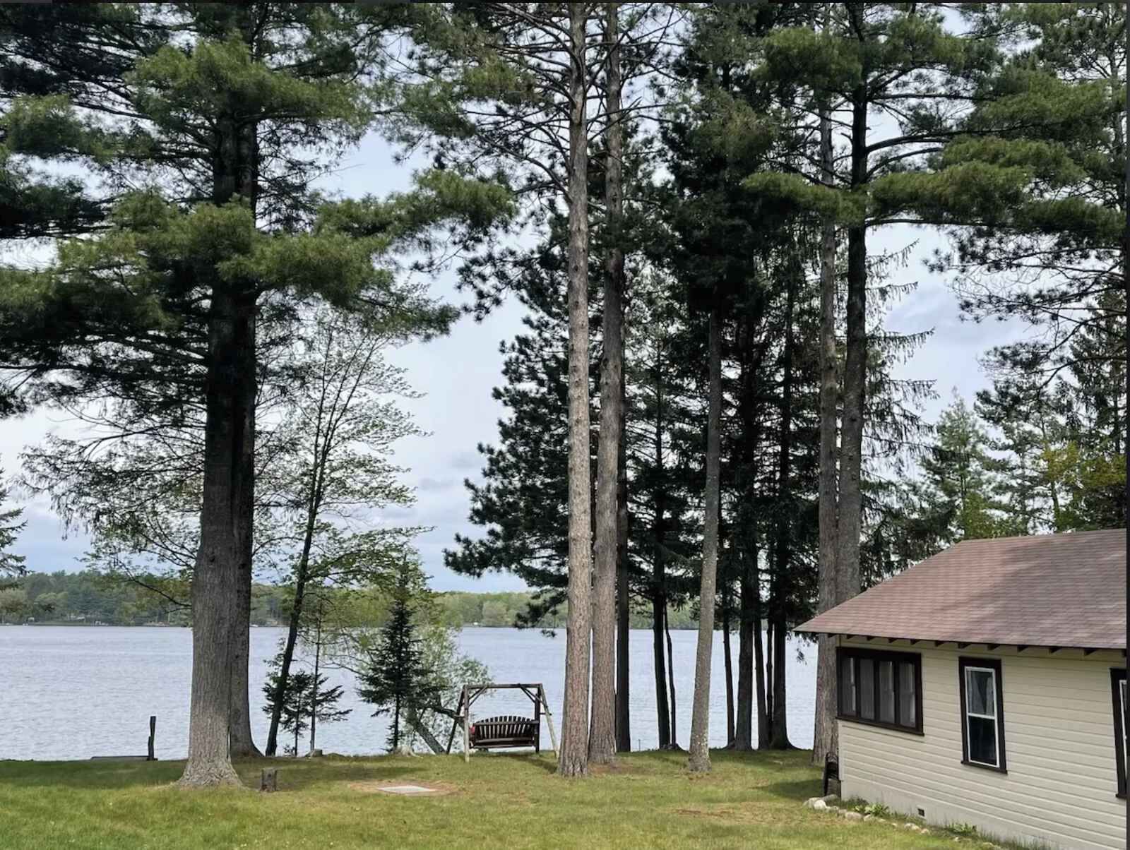 A cabin by a lake with tall trees, a swing, and a view of the water.