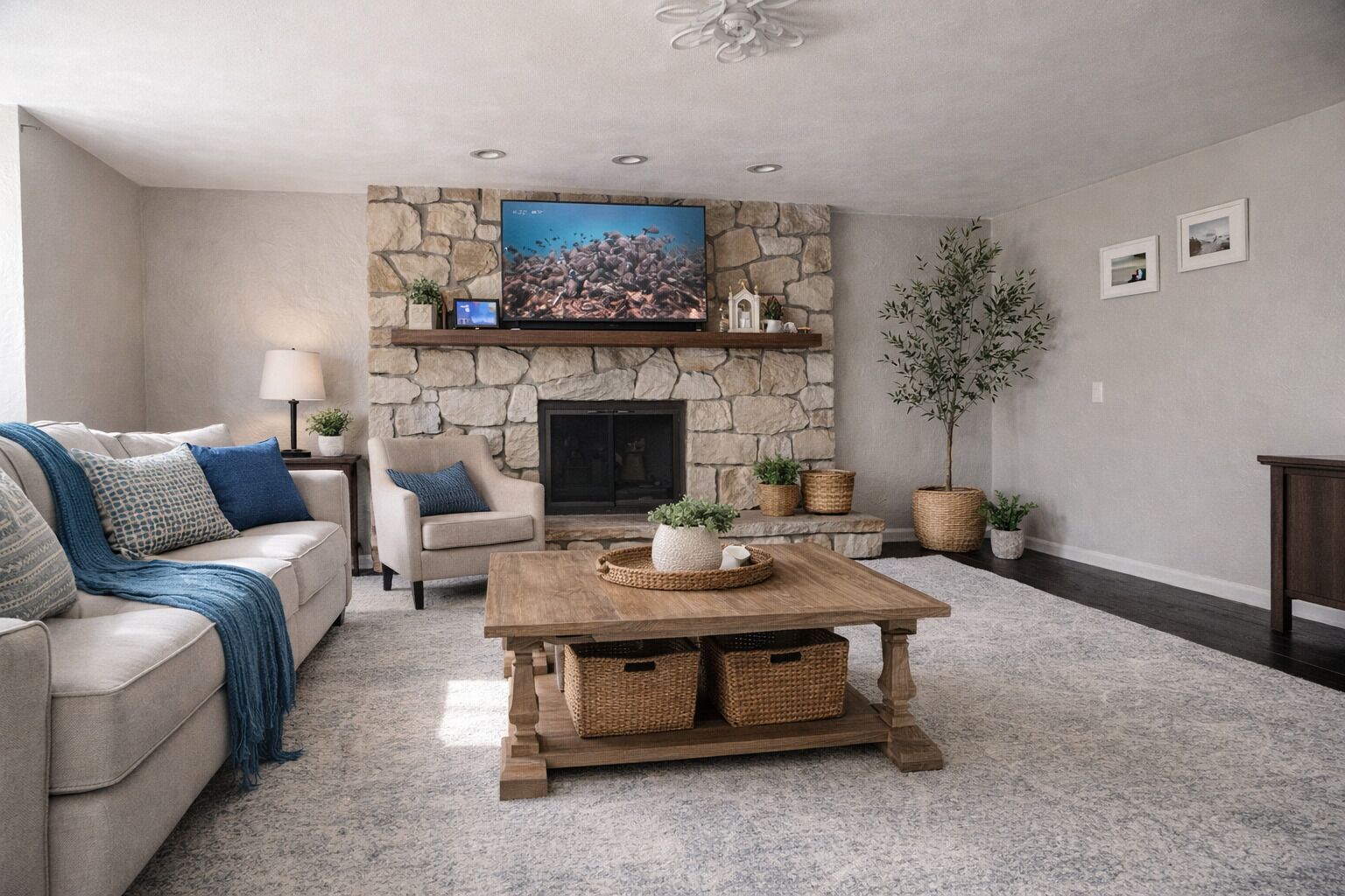 Smart TV, fireplace, books
