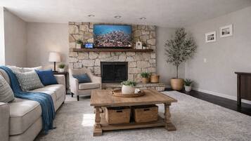 Smart TV, fireplace, books