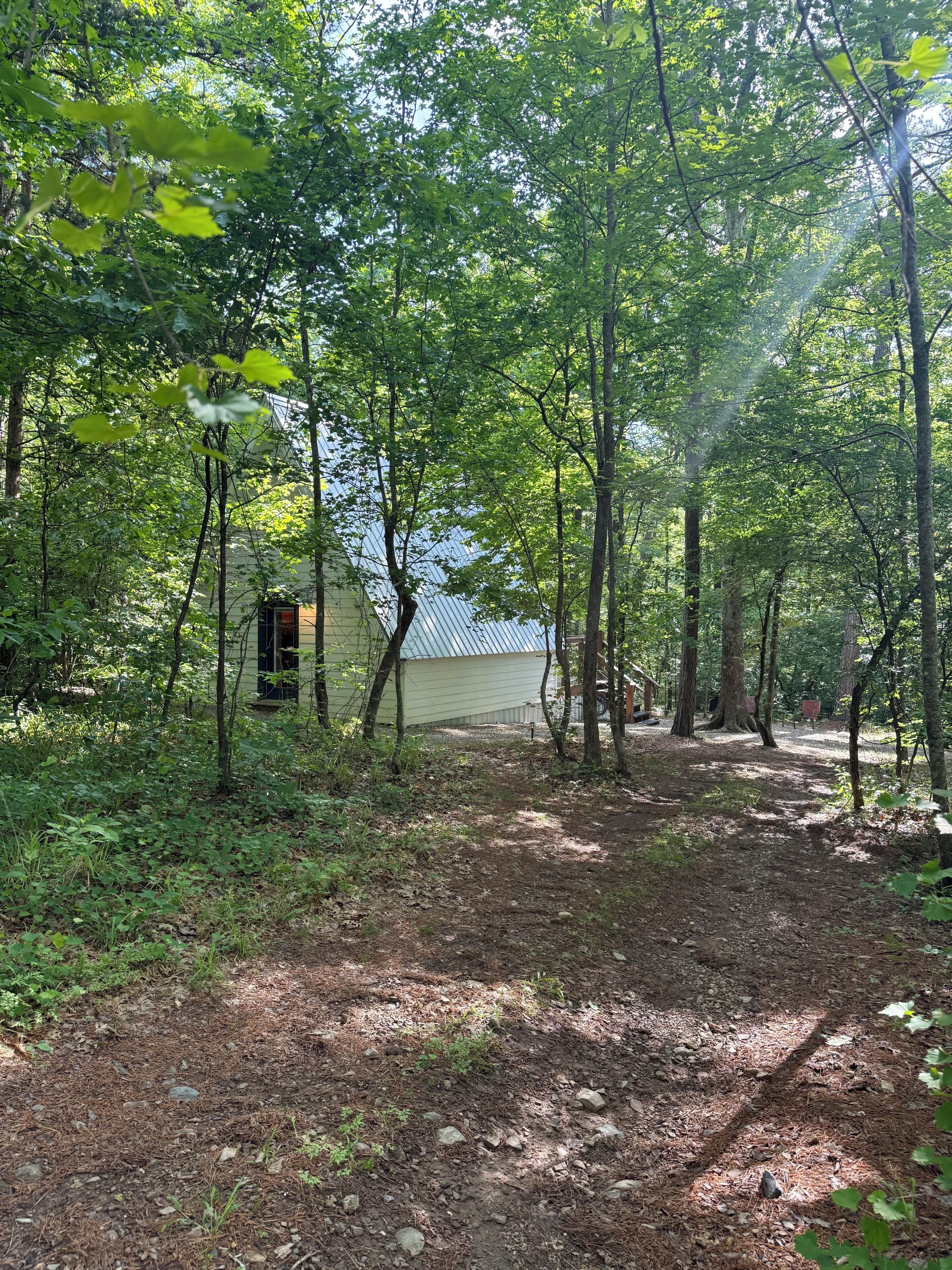 Une zone boisée avec un sentier de terre menant à un bâtiment doté d’un toit en métal.