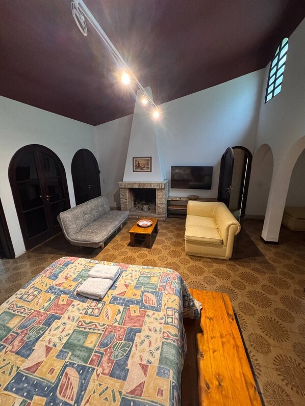 A room with a bed, two sofas, a TV, and a fireplace.