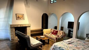 Una stanza con camino, un divano, un letto e una televisione.