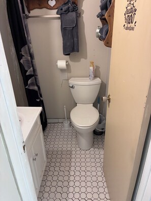Shower, towels, soap, toilet paper