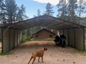Ein überdachter Außenbereich mit Erdboden, einem Hund und einem Motorrad unter einem Metalldach.
