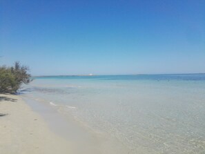 En strand med klart vatten, sandstrand och gles vegetation.