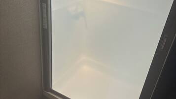 A bathroom with a toilet, a mirror, and a frosted glass door.